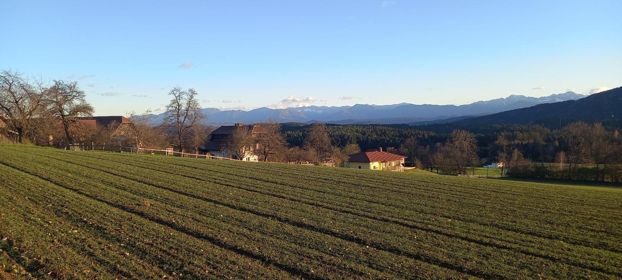 Erlebnishaus Spiess Hotel Feldkirchen in Kärnten Eksteriør billede